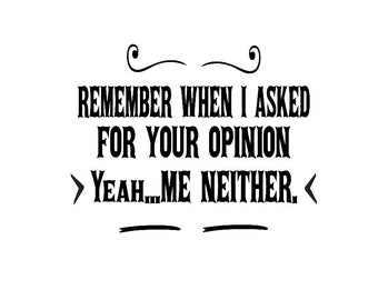 Remember When I Asked For Your Opinion, Yeah Me Neither