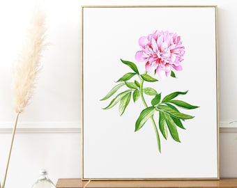 Original Peony Watercolor Painting • Botanical Wall Art