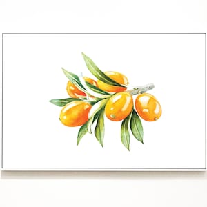 Sea buckthorn Printable · Sea buckthorn Wall Art · Sea buckthorn Painting · Sea buckthorn Watercolor Print · Digital Wall Art