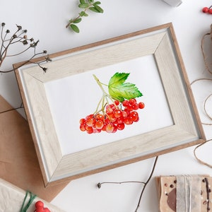 Viburnum Printable · Viburnum Wall Art · Viburnum Painting · Viburnum Watercolor Print · Digital Wall Art