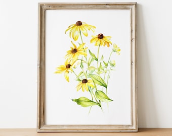 Pintura original de acuarela de Rudbeckia • Arte mural floral botánico