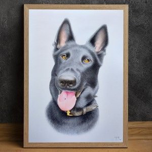 Ritratto di animale domestico ad acquerello · Ritratto di animale domestico personalizzato · Ritratti di animali domestici da foto · Pittura di animali domestici · Dipinti di animali personalizzati · Regalo per la perdita di animali domestici