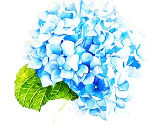 Original Hydrangea Watercolor Painting • Floral Botanical Wall Art