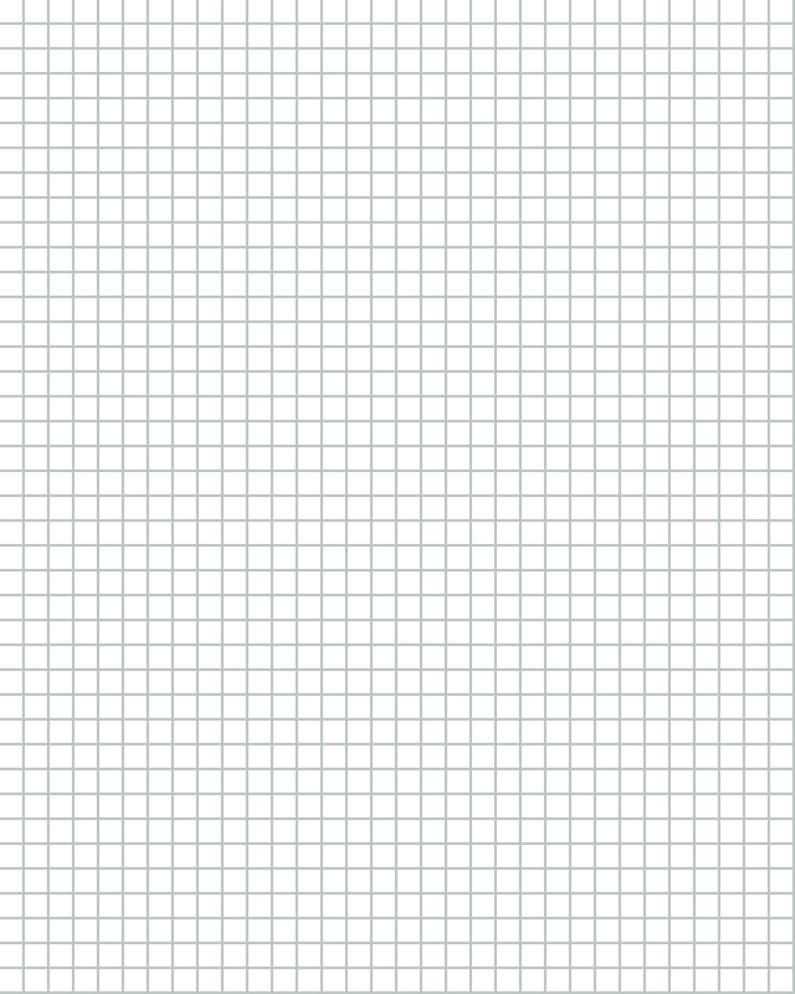 8x10 Graph Paper .25 Inch Digital File Etsy