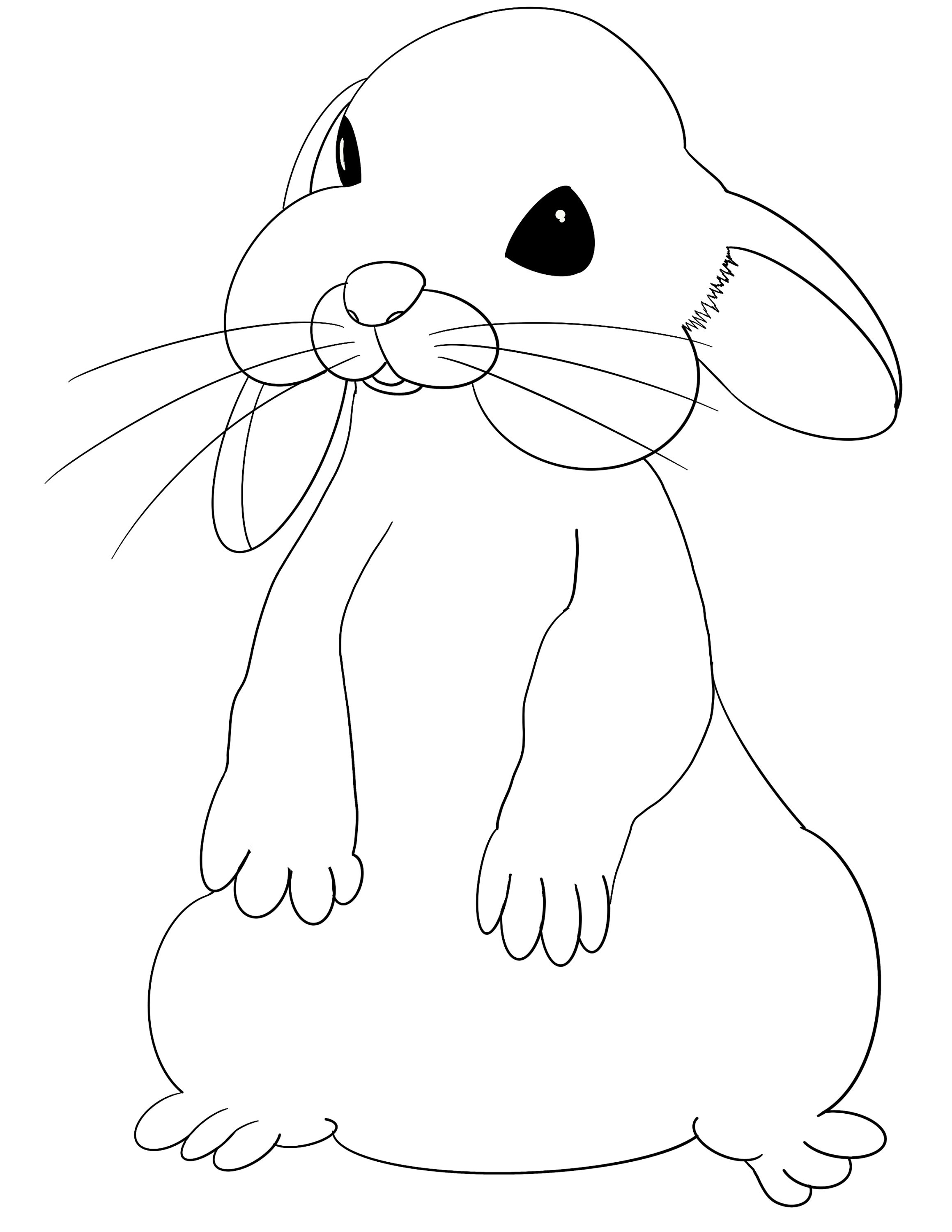 Digital Animal Coloring Sheets for Kids! - Etsy