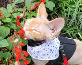 Halloween Cat Bandana – Pick a Peck of Purple Pumpkins, No-Collar Pet Accessory for Cats & Small Dogs