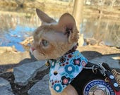 Cat Bandana - "Smell all the Flowers" - Spring Flowers Cat + Small Dog Bandana / No Collar Needed