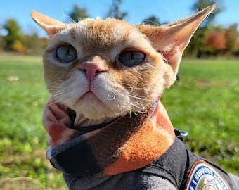 Cat Infinity Scarf – Pumpkin Spice and All Things Nice, Twistie Warmie in Orange Cream Plaid