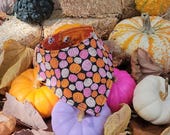 Halloween Cat Bandana – Spooky Patch, No-Collar Pet Accessory for Cats & Small Dogs