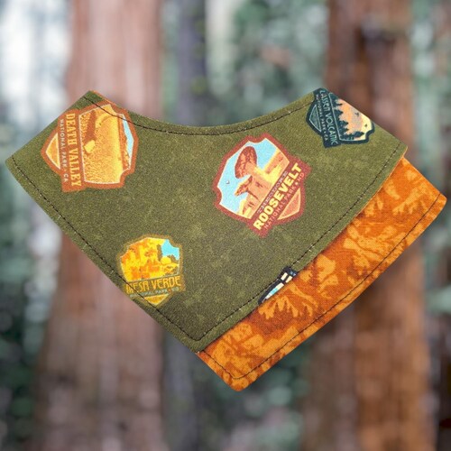 Adventure Cat Bandana, National Parks and Mountains, Lil' Hiker Bandana