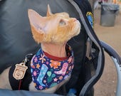 Cowboy Cat Bandana - Giddy Up Little Kitten, No Collar Needed Pet Accessory for Cats & Small Dogs