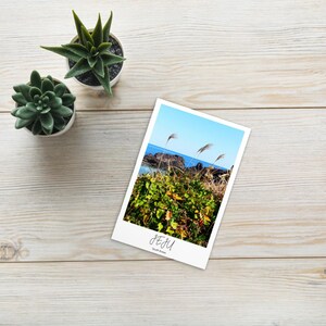 Carte postale Corée du Sud. Postcard, South Korea, Jeju Nature #2.