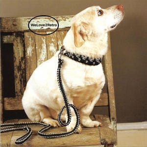 RETIREMENT-SALE*  Macrame Dog Leash & Collar Pattern PDF – Boho Vintage Pet Set