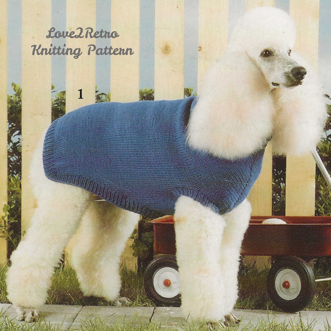 229 Vintage Dog Sweater Knitting Pattern, Easy Dog Coat Knitting