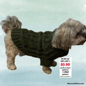 May include: A small dog wearing a dark green cable-knit dog sweater. The sweater covers the dog's back and front legs. The dog has light brown and gray fur. The background is a light blue-green color.