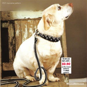 RETRAITE-SOLDES*** Laisse et collier pour chien en macramé, motif PDF – Ensemble bohème facile pour animaux de compagnie, laisse