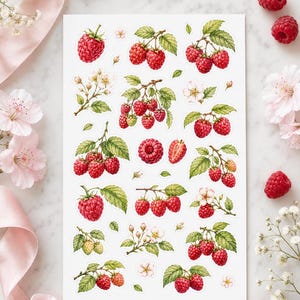Puede incluir: Una hoja de pegatinas rectangular con múltiples ilustraciones de frambuesas rojas, hojas verdes y pequeñas flores blancas. Los diseños incluyen bayas individuales, racimos en tallos y flores sueltas dispuestas sobre un fondo blanco.