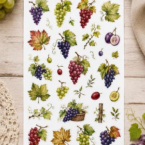 Op de afbeelding: Een stickervel met diverse aquarelillustraties van druiventrossen in paarse, rode en groene tinten, samen met individuele druivenbladeren, ranken en een klein mandje gevuld met druiven, allemaal gerangschikt op een witte achtergrond.