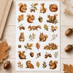 Squirrel Stickers