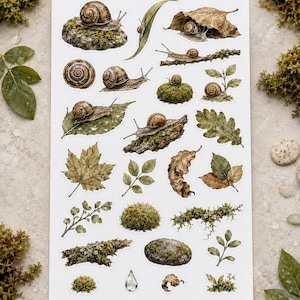 Könnte beinhalten: Ein Aufkleberbogen mit verschiedenen Illustrationen von braunen Schnecken, grünen Moossteinen, strukturierter Baumrinde, getrockneten Herbstblättern, kleinen grünen Zweigen und einem einzelnen klaren Wassertropfen auf weißem Grund.