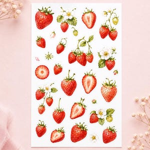 Puede incluir: Una hoja de pegatinas con varias ilustraciones en acuarela de fresas en diferentes etapas de crecimiento. Los diseños incluyen fresas rojas enteras, mitades de fresa cortadas, tallos verdes, hojas y pequeñas flores blancas de cinco pétalos.
