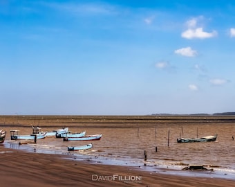 Travel / Guyana / Fishing Boats on the Corentyne River at Skeldon