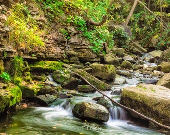 Natural Landscape / Flowing Stream from Chedoke Falls - Photography Print / Wall Art