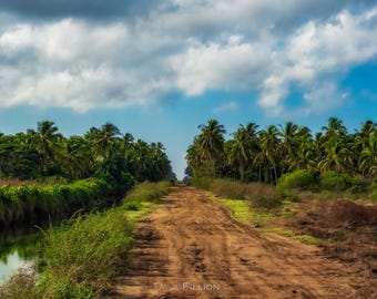 Travel / Guyana / Dirt road into the Forest