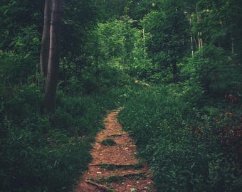 Hamilton / The Bruce Trail