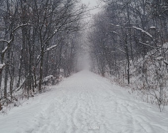 Hamilton / Winter Wonderland along the Bruce Trail