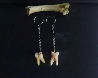 Gothic teeth earrings pair, Dangling human tooth, Handmade molars, Oddities curiosities, Goth creepy jewelry, dark aesthetic, Plastic teeth