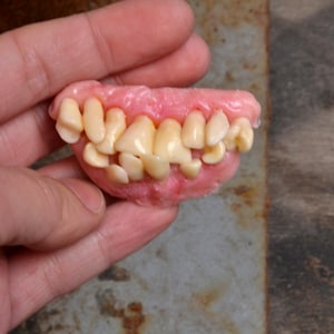 Gothic teeth brooch, Human tooth, Jaw pin, dentist gift, Handmade molars, Oddities curiosities, Goth creepy jewellery, dark aesthetic