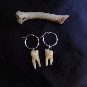 Gothic teeth earrings, Dangling human tooth, Handmade molars, Oddities curiosities, Goth creepy jewellery, dark aesthetic, Plastic teeth