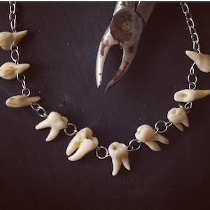Gothic teeth necklace, Human tooth on silver chain, Handmade molars, Oddities curiosities, Goth creepy jewellery, dark aesthetic