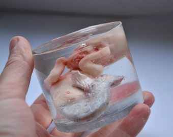 Mermaid baby realistic sculpture in resin, Tiny art object, oddities and curiosities, fantasy creations, Fetus, embryo, Wet specimen
