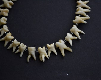 Girocollo con denti gotici, collana di denti umani, molari fatti a mano, curiosità sulle stranezze, gioielli goti raccapriccianti, vittoriano morboso dall&#39;estetica oscura