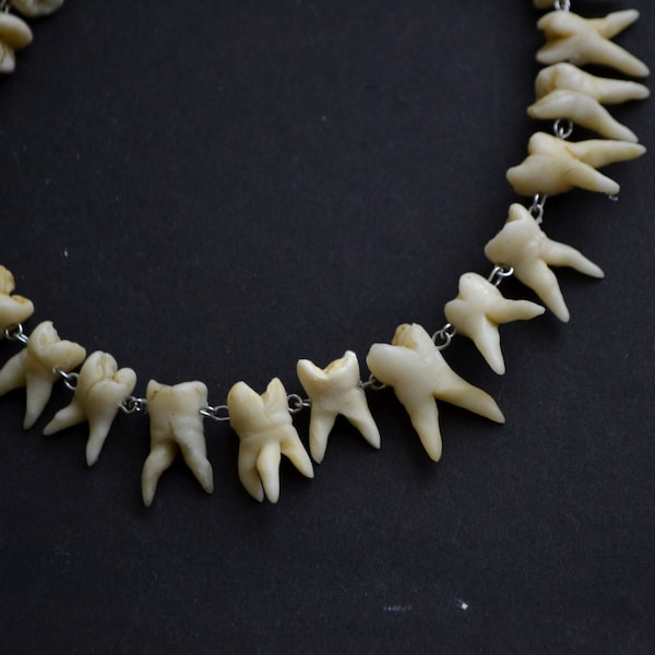 Tour de cou de dents gothiques, collier de dents humaines, molaires faites à la main, curiosités étranges, bijoux effrayants Goth, victorien morbide esthétique sombre