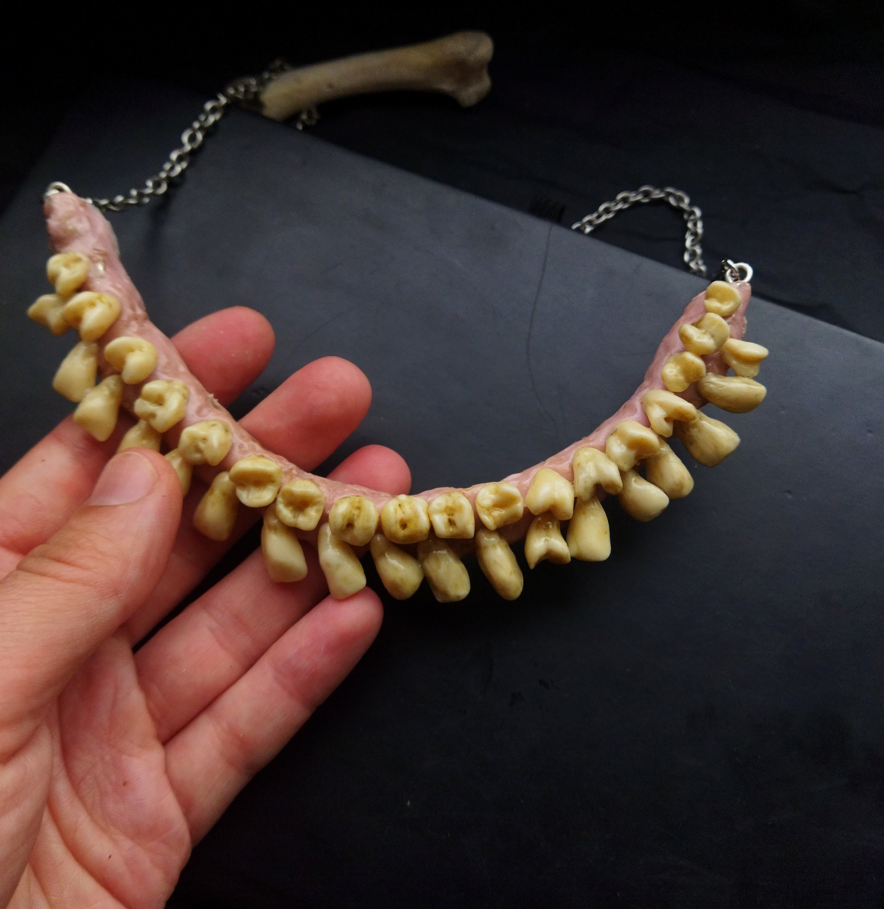 Human teeth necklace, tooth voodoo jewelry, Handmade molars, Oddities