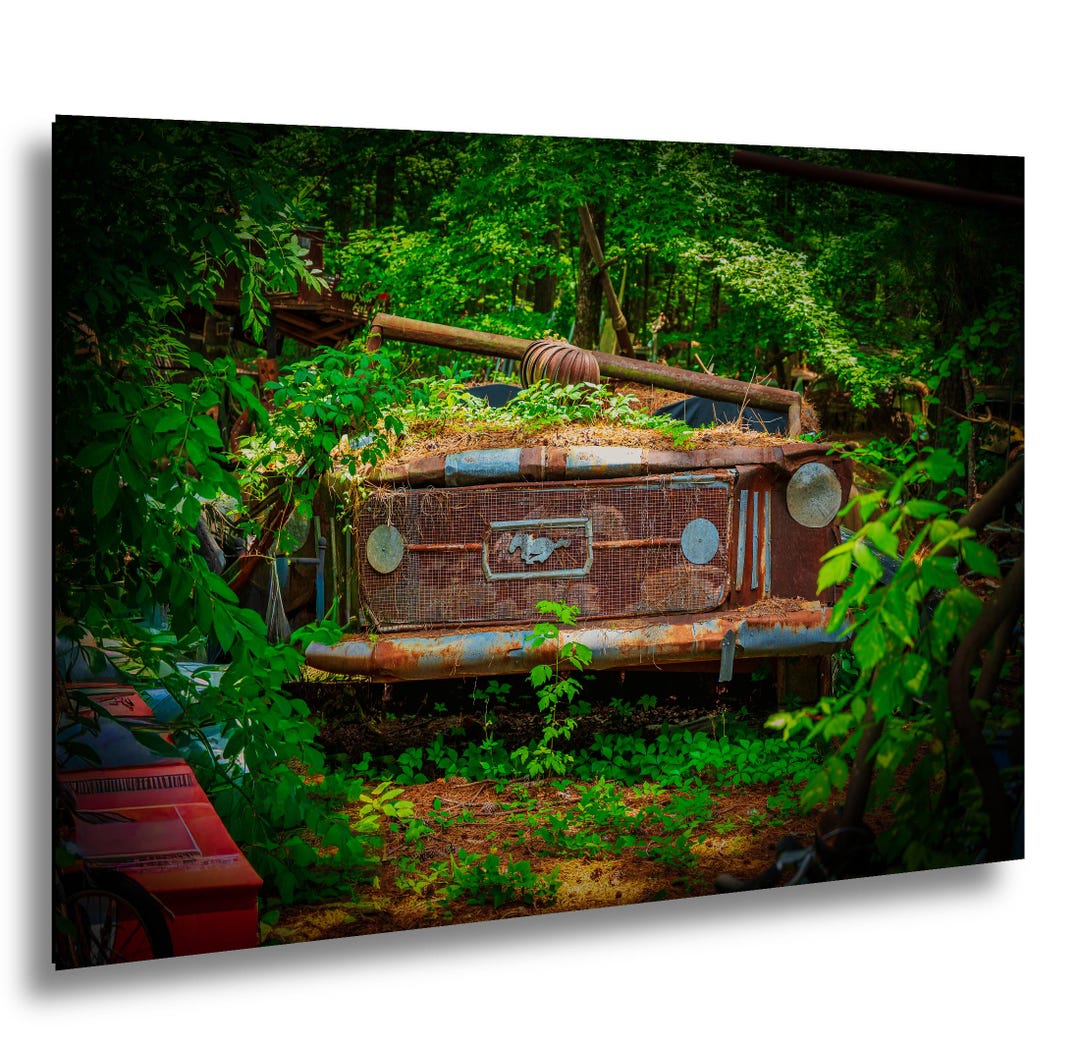 Abandoned Rusty Old Car in the Woods Photography, Rustic Decor, Nature ...