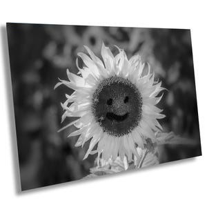 Cute Smiley Face Flower, Artistic Sunflower, Smiling Sunflower Art, Happy Sunshine Face Print, Black and White Art, nursery wall decor