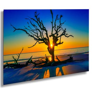 Isla Jekyll, playa Driftwood después del amanecer, fotografía de playa, arte mural costero, decoración de casas de playa, decoración de paredes costeras, póster con impresiones del océano