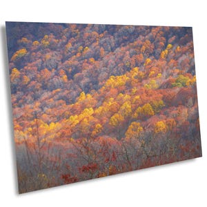 Herbst Kunstdruck, Herbst Landschaft Kunst, Herbst Landschaft Kunst, Stimmungsvoller Herbst Druck, North Georgia Mountains, Brasstown kahle Ansichten, Wandergeschenk