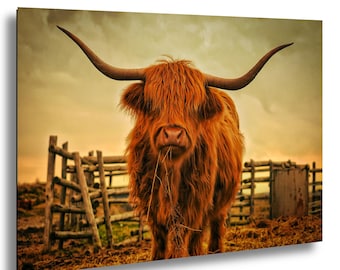 Highland Cow Print: Rustic Farmhouse Wall Art