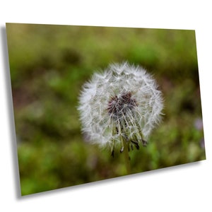 Dandelion Seed Macro Poster, Dandelion wall art, Dandelion Photo Poster, Dandelion Decor, Wildflowers Art, Dandelion Print, Nursery Print