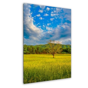 Cades Cove Solitary Tree Print, Great Smoky Mountains Art, Tennessee Landscape Photography, Cades Cove Loop Road Scenery