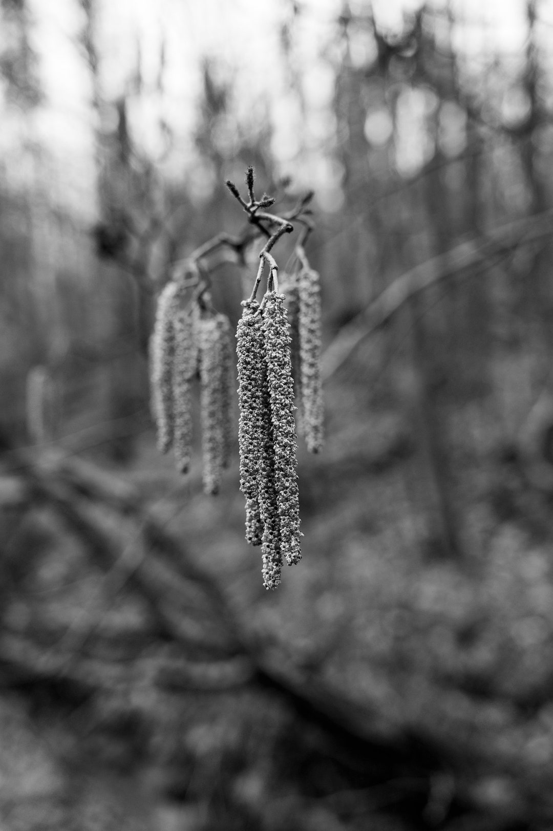 This item is unavailable Etsy