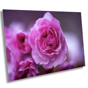 Cherry Blossom Wall Art, Tree Branch Decor, Light Pink Flower Branches, Horizontal Japanese Art, Zen Flower Photograph, Sakura Flowers,
