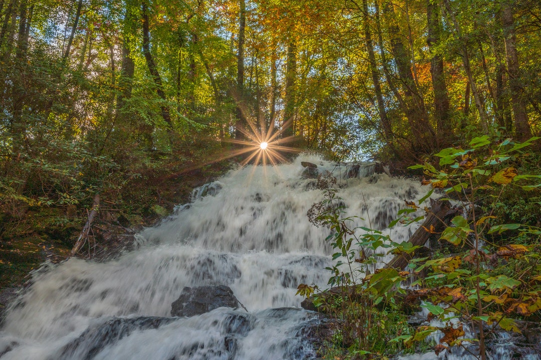 Vogel State Park, Trahlyta Falls, Waterfall Photography, Poster Print