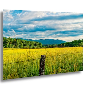Cades Cove, Great Smoky Mountains Art, Tennessee Landscape Photography, Cades Cove Loop Road, Scenery, Golden Grasses, Spring to Life,