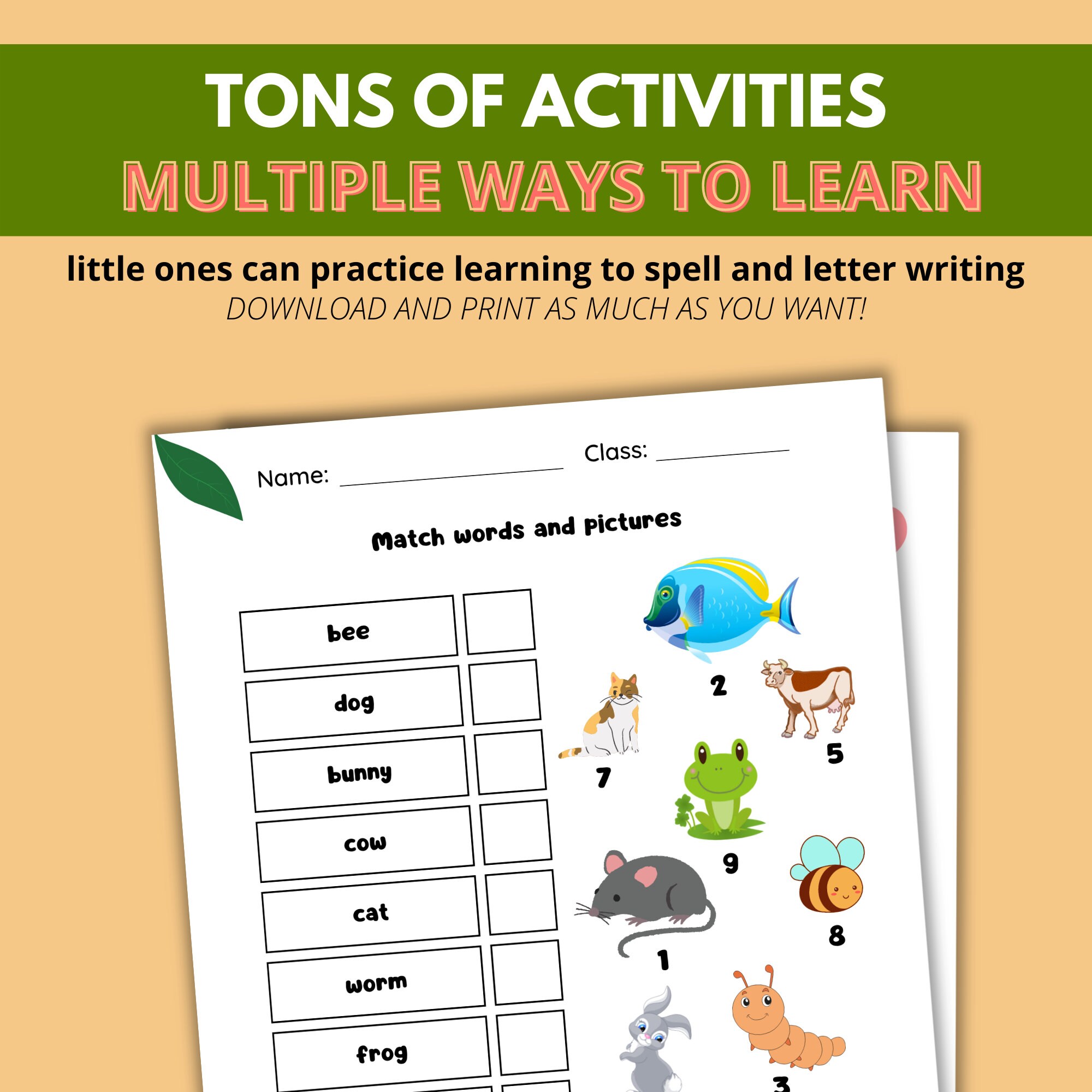 Learn to Spell Workbook, Kindergarten Worksheets, Spelling Workbook